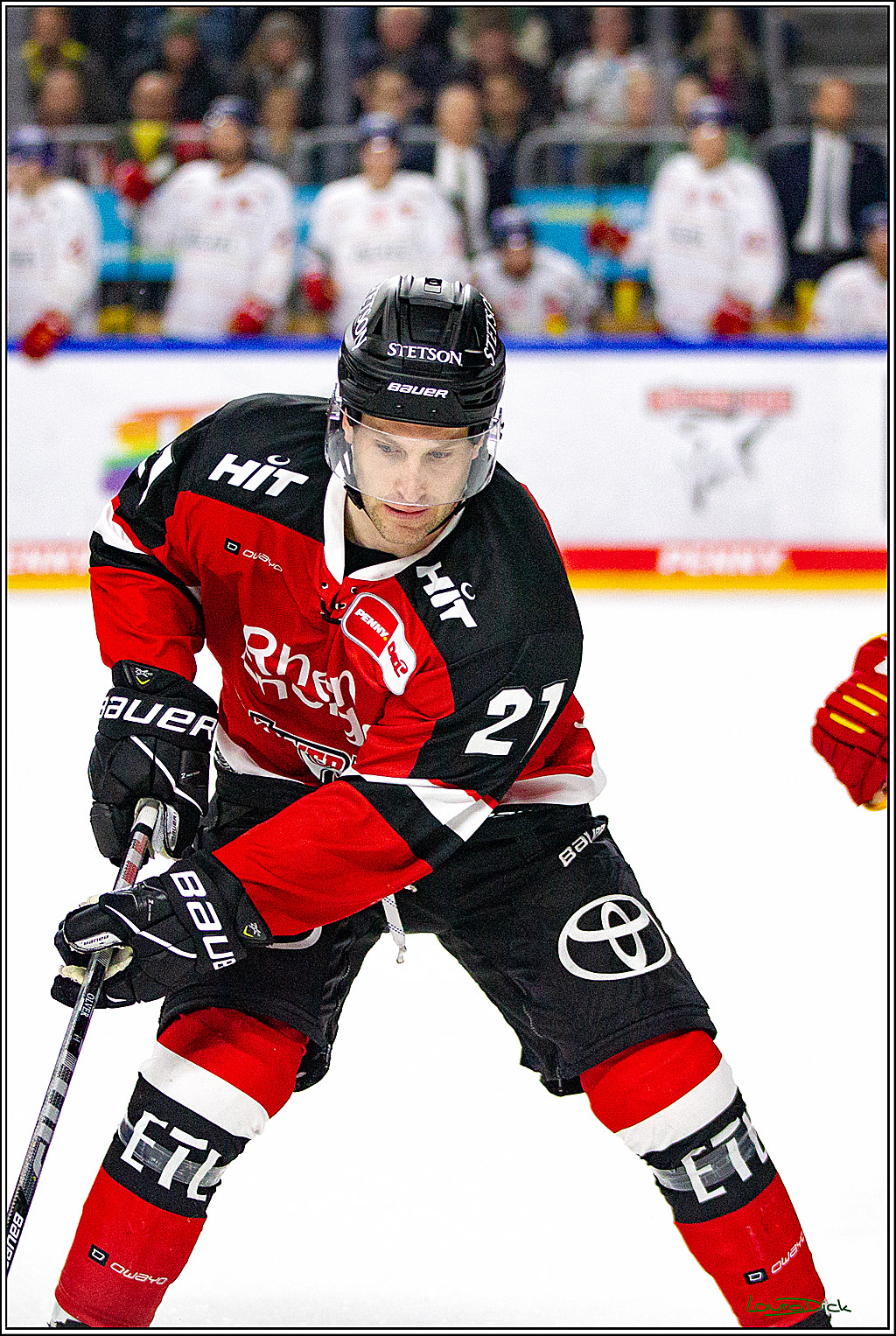 PENNY DEL;  Koelner Haie - Duesseldorfer EG; Koeln, 19.10.2021